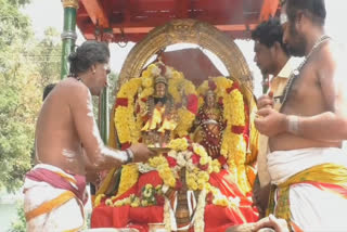 Video:Thiruvannamalai Thaipusam:தைப்பூசத்தை முன்னிட்டு அண்ணாமலையார் தீர்த்தவாரி