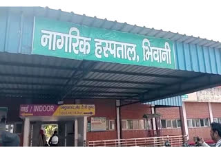 bhiwani latest news swine flu cases in bhiwani patient died of swine flu in bhiwani