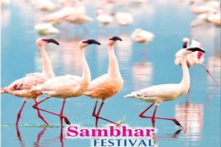 Sambhar Festival will start from February 17,  Domestic foreign tourists will participate