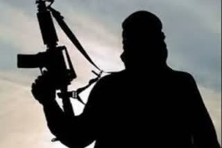 islamic state terrorist organisation report