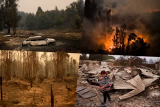 22 killed in chile wildfires say officials