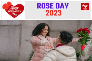 Rose Day 2023 Valentine Week valentine day