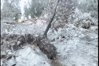 Landslide zone in Pauri