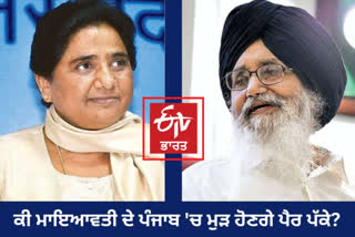 What will be the profit and loss of BSP's alliance with Akali Dal, read special study