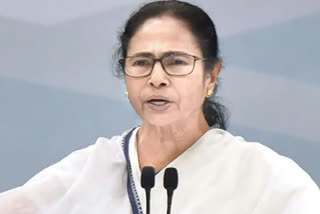 mamata