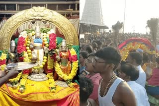 Thaipusam Festival Devotees throng Thiruthani Murugan Temple for Sami Darshan