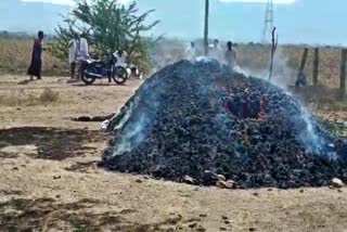 ಬೆಂಕಿಗೆ ಆಹುತಿಯಾದ ಜೋಳ