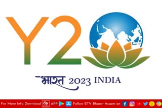 Y20 Summit 2023