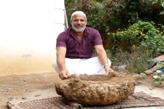 Musthafa cp kannur  elephant foot yam farming in kannur  elephant foot yam  elephant foot yam farming  farming in kannur  vegetable farming in kannur  ചേനകൃഷി  ചേനകൃഷിയും വിളവെടുപ്പും  മുസ്‌തഫ  മുസ്‌തഫ സി പി കണ്ണൂർ  കണ്ണൂർ ഇരിങ്ങലിൽ ചേനകൃഷി  ചേന  ചേനയുടെ തൂക്കം  ഒരു ചേനയുടെ തൂക്കം  റെക്കോഡ് തൂക്കവുമായി ചേനകൃഷി