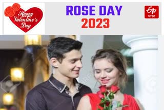 7 February Rose Day