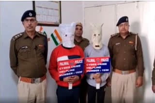 Cyber gang busted in Palwal cyber police station