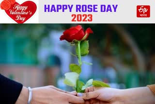 Rose Day 2023 : કપલ્સ માટે વેલેન્ટાઈન વીકનો પહેલો દિવસ છે ખાસ, જાણો કેમ