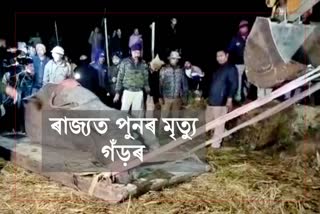 Rhino death in Golaghat