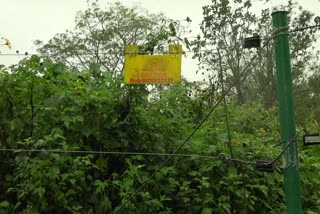 Wild Elephant in mankuthimed in idukki  ഫെന്‍സിങില്ല  ട്രഞ്ച് മറികടന്ന് കാട്ടാനകളെത്തുന്നു  ദുരിതം പേറി മാന്‍കുത്തിമേട്ടിലെ ജീവിതം  ഇടുക്കി വാര്‍ത്തകള്‍  idukki news updates  latest news in idukki  കാട്ടാന പേടിയില്‍ മാന്‍കുത്തിമേട്ട്