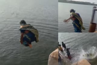 Saree clad Women diving Thamirabarani river in Tamil Nadu