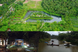 Syriac Maria Kalappura  Man made lake in Puduppadi Kozhikode  Man made lake in Puduppadi  Syriac Maria Kalappura lake in Puduppadi Kozhikode  Syriac Maria Kalappura lake  സിറിയക്  കോഴിക്കോട് ജില്ലയില്‍ പുതുപ്പാടി  സിറിയക് മരിയ കളപ്പുര  സിറിയക് മരിയ കളപ്പുരയുടെ തടാകം  പുതുപ്പാടിയിലെ തടാകം  റെഡ്നെക്  ഫിനിക്‌സ്  സൈക്കസ്  ബിസ്‌മാർക്കിയ  ഫിഷ്‌ടെയിൽ