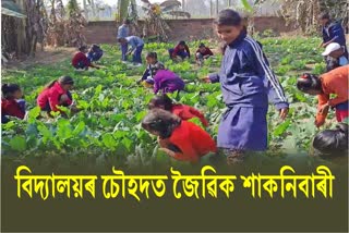 School Students Grow Vegetables