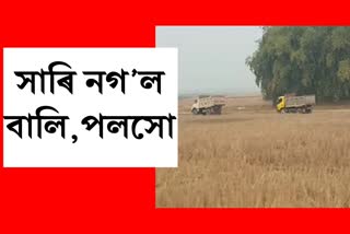Sand syndicate in Jorhat