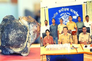 Whale vomit worth six and a half crore seized, two arrested in Sangli