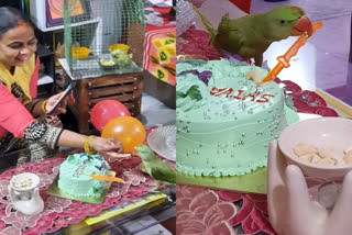 Bihar family celebrates parrot's 1st birthday