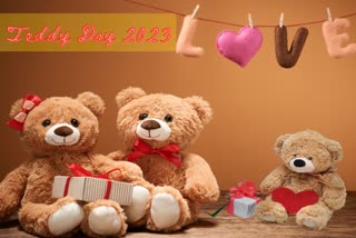 Valentine Week Teddy Day