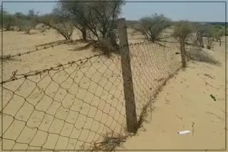 Smuggling from Pak Border, Indo Pak Border in Rajasthan