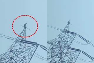 young girl climbed on high tension electric tower