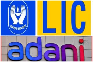 LIC Adani