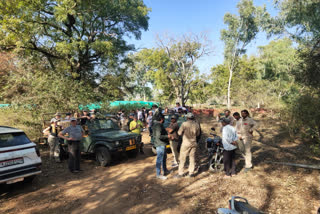 Tourists disappointed as Ranthambore entry gates closed during forest workers protest