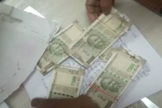 Termite ate currency notes of more than 2 Lakhs