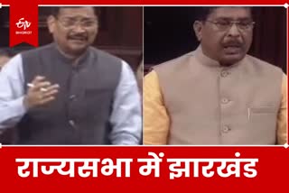 BJP MP in Rajya Sabha