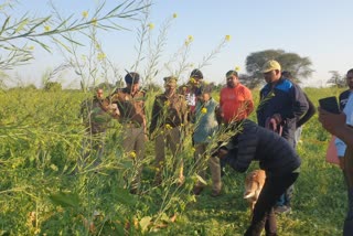 लापता महिला का खेत में पड़ा मिला शव