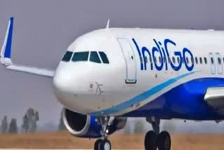 Delhi Leh Indigo flight