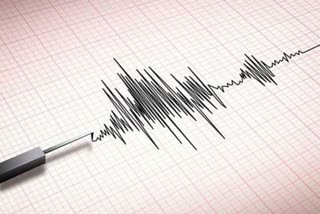 INDIA EARTHQUAKES zones