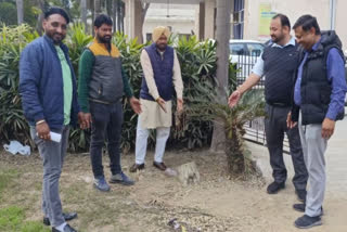 A dispute broke out over the trees cut by the city council in Barnala