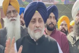 Sukhbir Badal targeted the Aam Aadmi Party