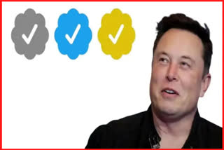 Twitter CEO Elon Musk