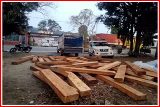 cedar wood sleepers recovered from pickup