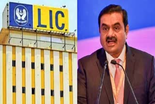 LIC On Investment In Adani Group
