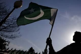 global experts says Pakistan must set its house in order to combat Deep Economic Crisis