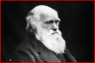 Darwin Day