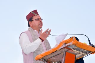 CM Dhami on Nakal Mafia