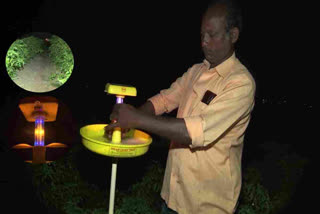 Chilli Crop Through Solar Lights