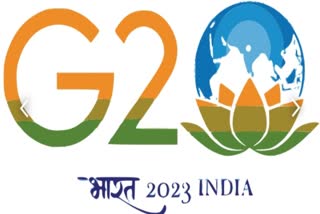 g 20 summit in india