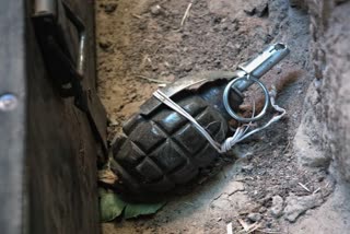 Grenade found in West Bengal