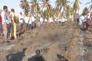 Sugarcane field fire