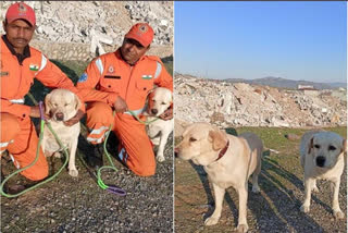 Meet NDRF's Romeo and Julie