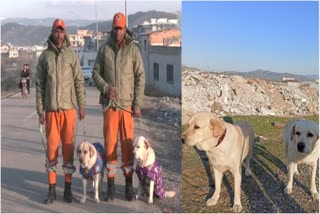 Ndrf Dogs Romeo Julie Saved Life Of Baby