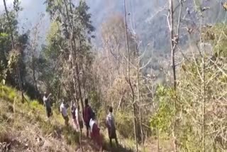 people saw tiger  idukki ponnamala  idukki ponnamala tiger  tiger attack  wild animal attack  latest news in idukki  latest news today  നെടുങ്കണ്ടം പൊന്നാമലയിൽ പുലി ഇറങ്ങിയതായി അഭ്യൂഹം  പുലി  നെടുങ്കണ്ടത്ത് പുലി ഇറങ്ങിയതായി അഭ്യൂഹം  പുലിയുടെ ആക്രമണം  വന്യജീവി ആക്രമണം  ഇടുക്കി ഏറ്റവും പുതിയ വാര്‍ത്ത  ഇന്നത്തെ പ്രധാന വാര്‍ത്ത