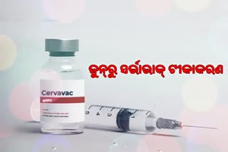 cervavac vaccine